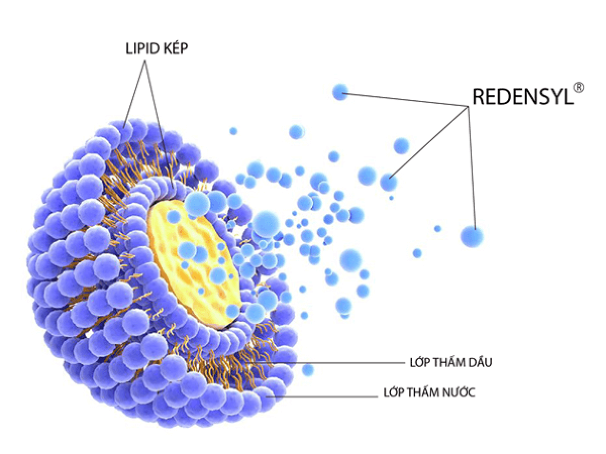 Ứng dụng công nghệ Liposome trong mỹ phẩm