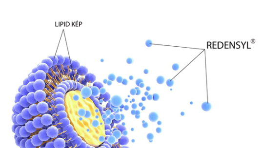 Ứng dụng công nghệ Liposome trong mỹ phẩm