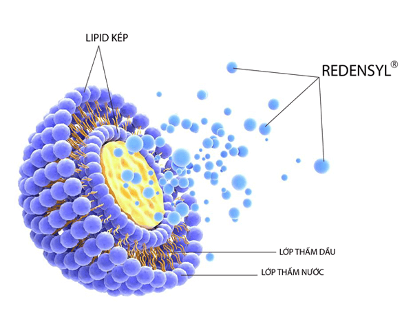 Ứng dụng công nghệ Liposome trong mỹ phẩm
